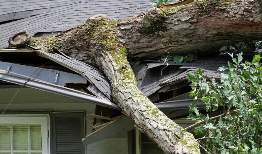 imgi_2_LHG_05_May25_Blog1