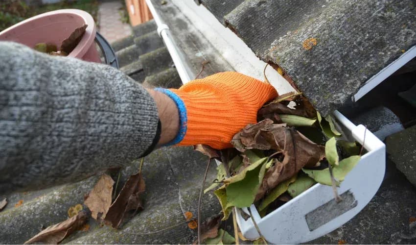 imgi_2_LHG_05_May25_Blog2-png