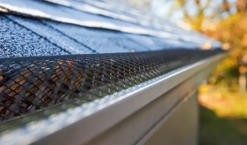 imgi_2_LHG_08_Aug25_Blog2