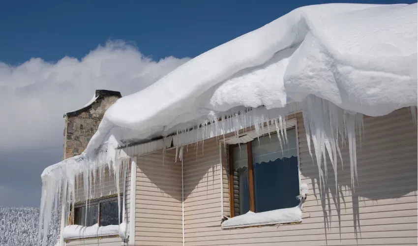 imgi_2_LHG_11_Nov25_Blog1